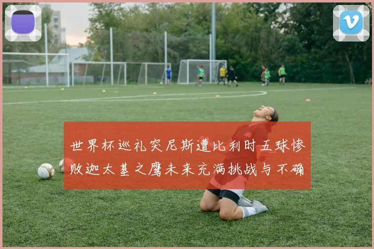 世界杯巡礼突尼斯遭比利时五球惨败迦太基之鹰未来充满挑战与不确定性
