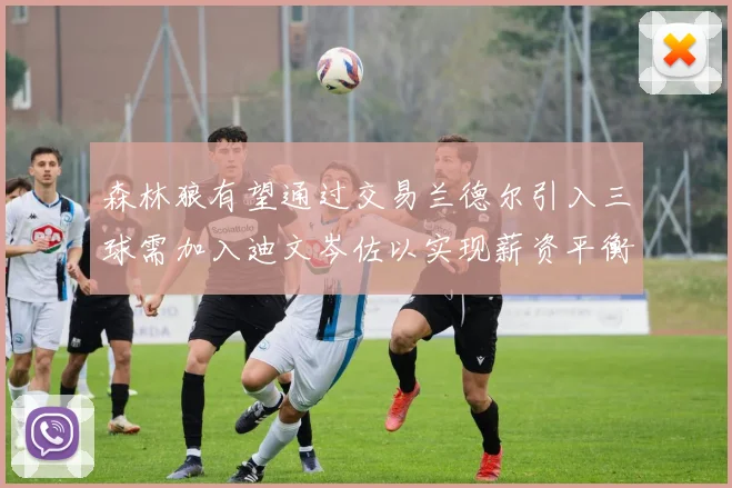 森林狼有望通过交易兰德尔引入三球需加入迪文岑佐以实现薪资平衡